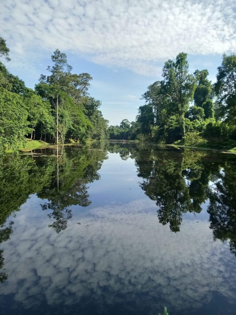 El recorrido por Angkor wat y la naturaleza con el guia en español